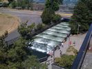 Bonneville Dam