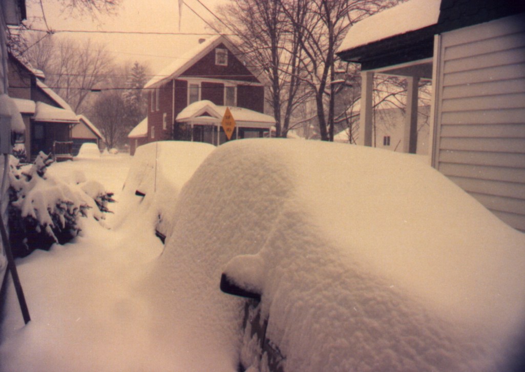 Cortland New York